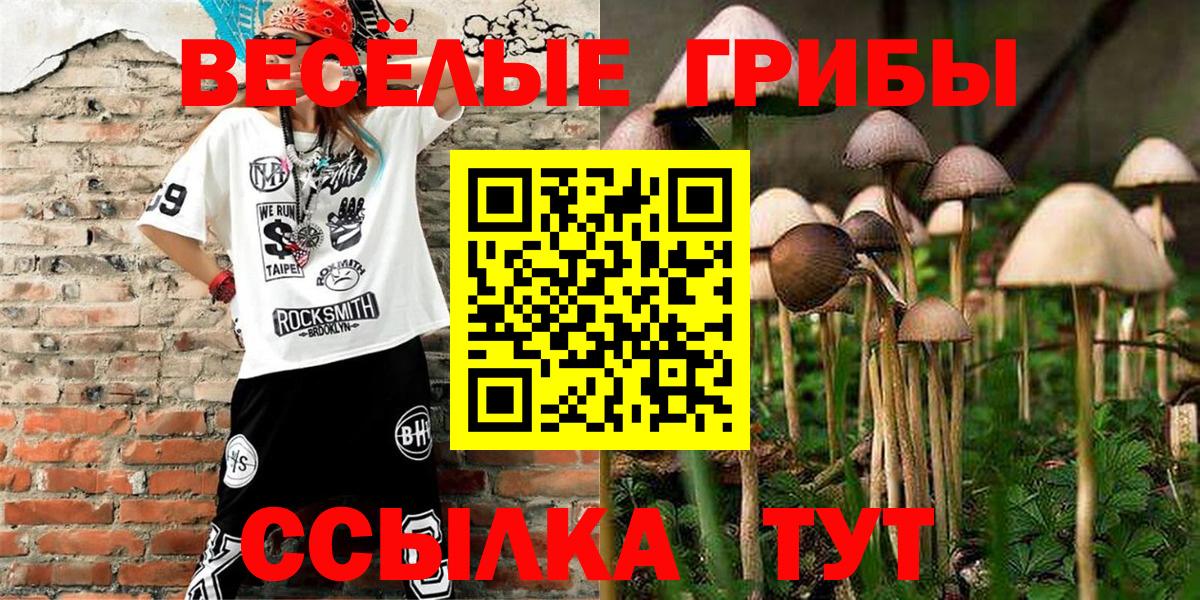 Псилоцибиновые грибы мухоморы Избербаш